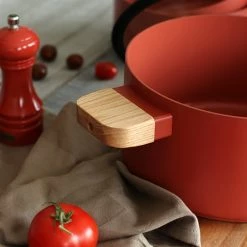 Faitout Ector Induction Aluminium Revêtu 24 Cm Rouge 9 Faitout Ector Induction Aluminium Revêtu 24 Cm Rouge -de Buyer Soldes Magasin 108015 2 1 Faitout Ector induction aluminium revetu 24 cm rouge Ogo