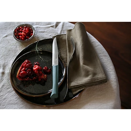 Opinel Coffret 4 Couteaux De Table Lame Micro-dentée 11 Cm Bon Appétit Plus Anthracite 7 Opinel Coffret 4 Couteaux De Table Lame Micro-dentée 11 Cm Bon Appétit Plus Anthracite – Image 5