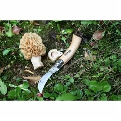 Opinel Couteau à Champignons Pliant N°8 Lame Inox 8 Cm -de Buyer Soldes Magasin 471156 3 3 Couteau a champignons pliant N 8 lame inox 8 cm Opinel