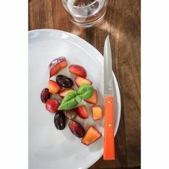 Opinel Coffret 4 Couteaux De Table Pop -de Buyer Soldes Magasin 471245 4 3 Coffret 4 couteaux de table Pop Opinel
