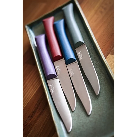 Opinel Coffret 4 Couteaux De Table Glam 4 Opinel Coffret 4 Couteaux De Table Glam – Image 2