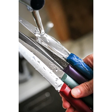 Opinel Coffret 4 Couteaux De Table Glam 5 Opinel Coffret 4 Couteaux De Table Glam – Image 3