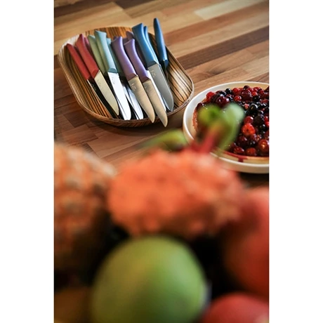 Opinel Coffret 4 Couteaux De Table Glam 6 Opinel Coffret 4 Couteaux De Table Glam – Image 4