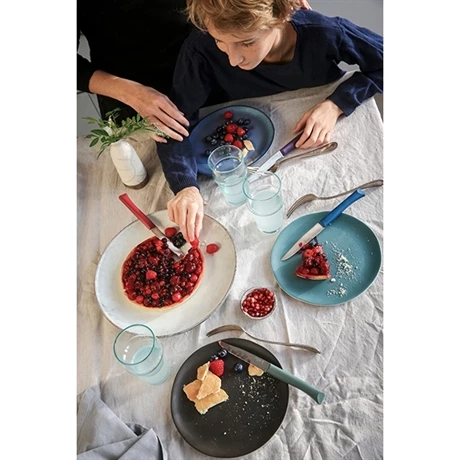 Opinel Coffret 4 Couteaux De Table Glam 7 Opinel Coffret 4 Couteaux De Table Glam – Image 5