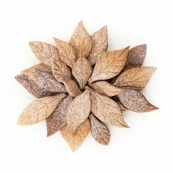 Silikomart Emporte-pièce Voila Cookie - Feuilles 24 X 15 Cm -de Buyer Soldes Magasin 561004 2 2 Emporte piece Voila cookie Feuilles 24 x 15 cm Silikomart