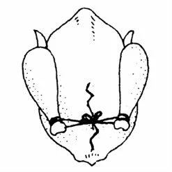 Ficelle De Cuisine 152 M -de Buyer Soldes Magasin 601080 3 1 Ficelle de cuisine 152 m