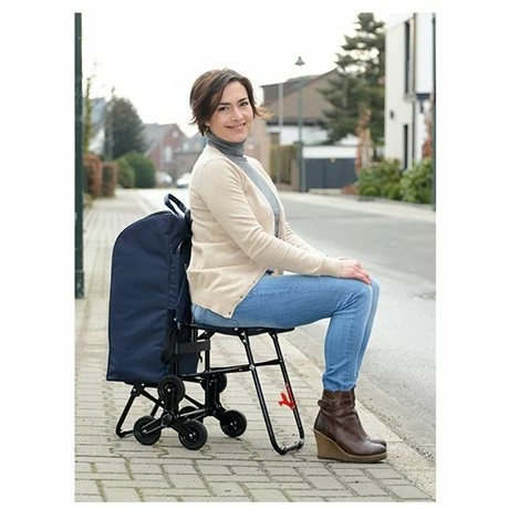 Chariot De Courses Avec Siège Bleu 4 Chariot De Courses Avec Siège Bleu – Image 2