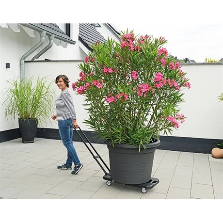 Chariot De Transport Extensible 4 Chariot De Transport Extensible – Image 2