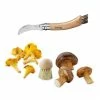 Set Brosse à Champignons Et Couteau à Champignons Pliant N°8 -de Buyer Soldes Magasin 609165 0 1 Set brosse a champignons et couteau a champignons pliant N 8