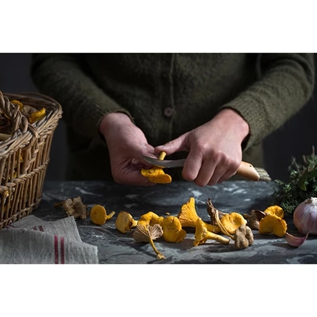 Set Brosse à Champignons Et Couteau à Champignons Pliant N°8 5 Set Brosse à Champignons Et Couteau à Champignons Pliant N°8 – Image 3