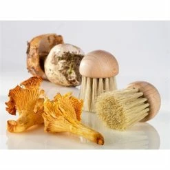 Set Brosse à Champignons Et Couteau à Champignons Pliant N°8 9 Set Brosse à Champignons Et Couteau à Champignons Pliant N°8 -de Buyer Soldes Magasin 609165 3 1 Set brosse a champignons et couteau a champignons pliant N 8
