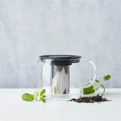 Théière En Verre Avec Filtre Inox 0,6 L Noir 8 Théière En Verre Avec Filtre Inox 0,6 L Noir -de Buyer Soldes Magasin 623031 2 1 Theiere en verre avec filtre inox 0 6 L noir Point Virgule