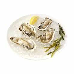 Princess Machine à Glace Pilée 01.282984.01.001 -de Buyer Soldes Magasin 780162 4 2 Machine a glace pilee 01 282984 01 001 Princess