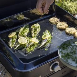 Plancha à Gaz Combo Enosign 65 Bleu Navy 2 Feux 10 Plancha à Gaz Combo Enosign 65 Bleu Navy 2 Feux -de Buyer Soldes Magasin 781013 3 4 Plancha a gaz Combo enosign 65 bleu navy 2 feux ENO